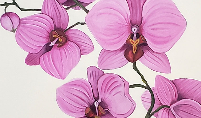 Orquídeas - Marisú Araneo, PG
