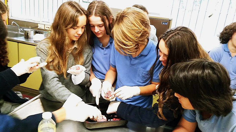Universidad de Belgrano |  Práctica en laboratorios de Biología con alumnos secundarios