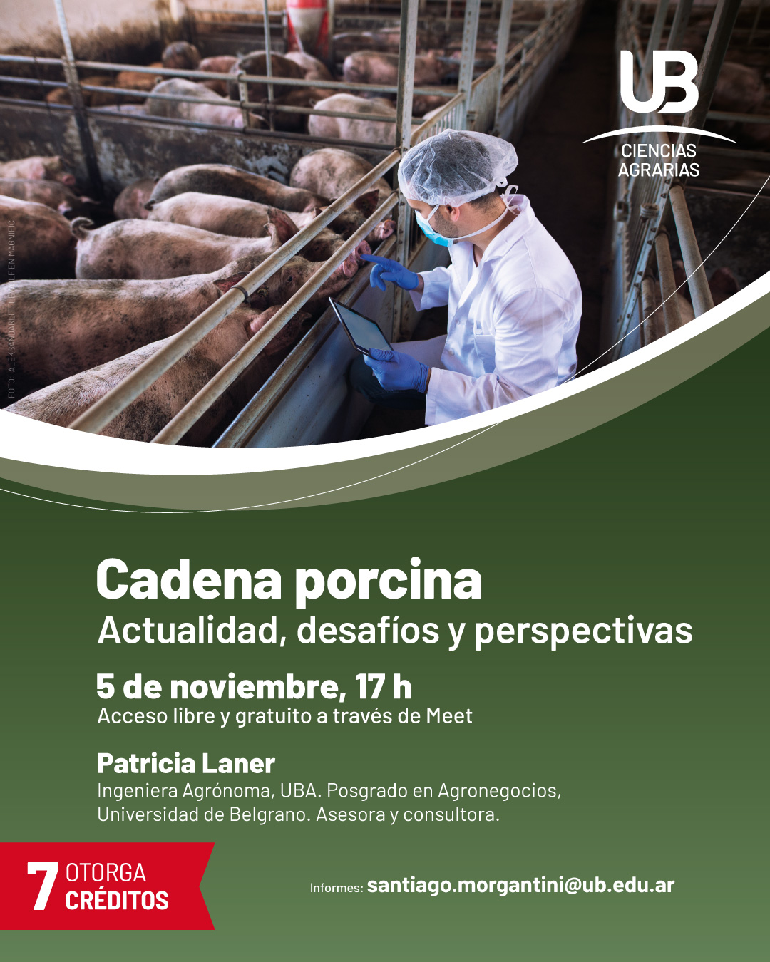 Cadena porcina: Actualidad, desafíos y perspectivas