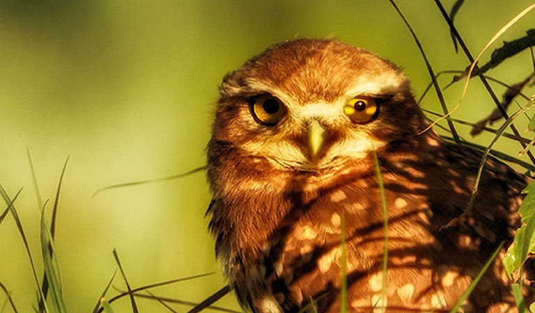 Jugando a las escondidas - Mercedes Orden, PG