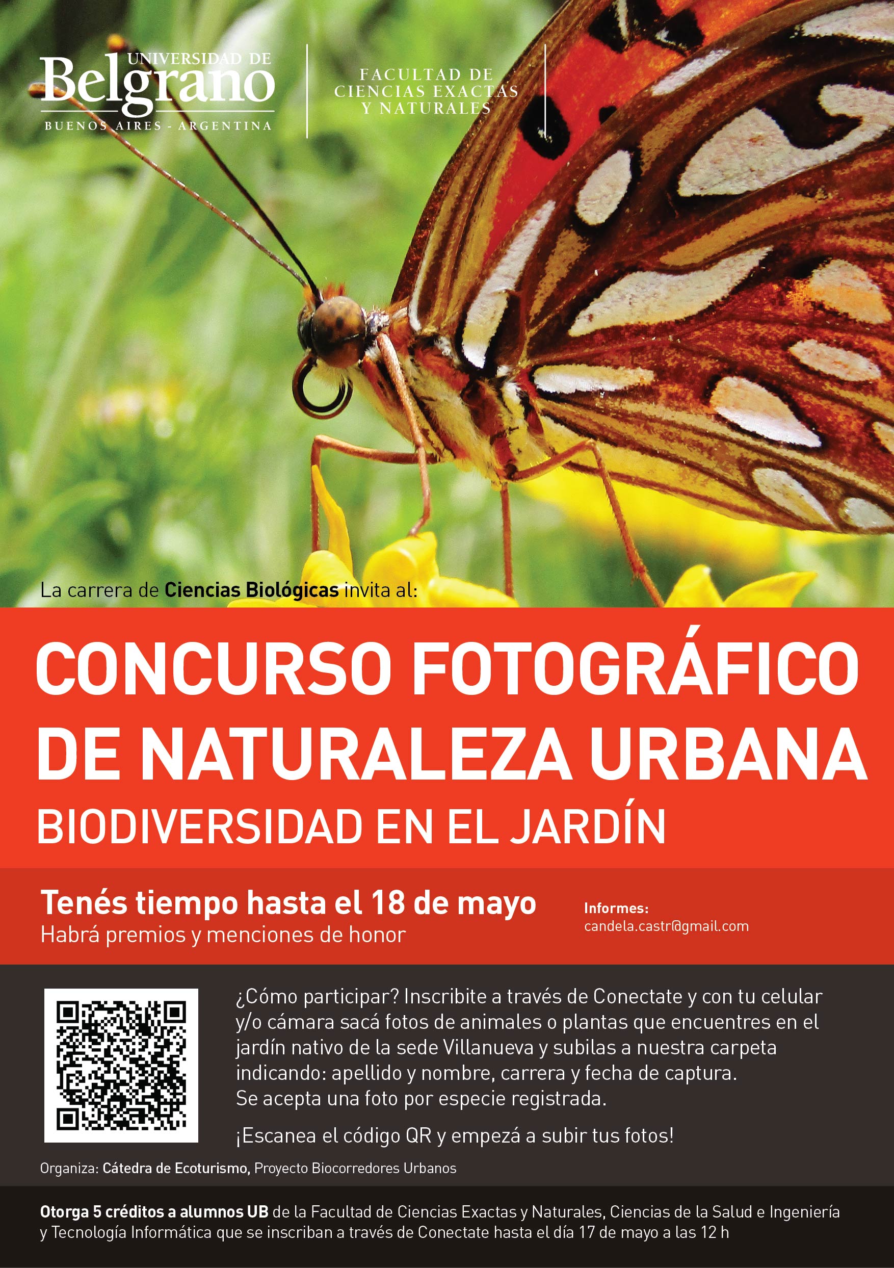 Concurso Fotográfico de Naturaleza Urbana