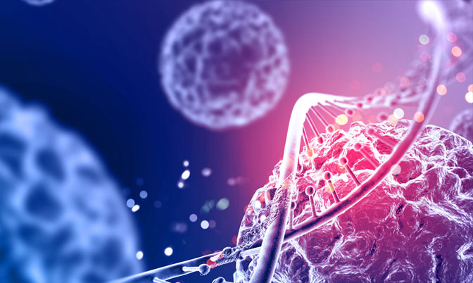 Importancia de evaluar la fragmentación del ADN de los gametos en técnicas de reproducción asistida humana