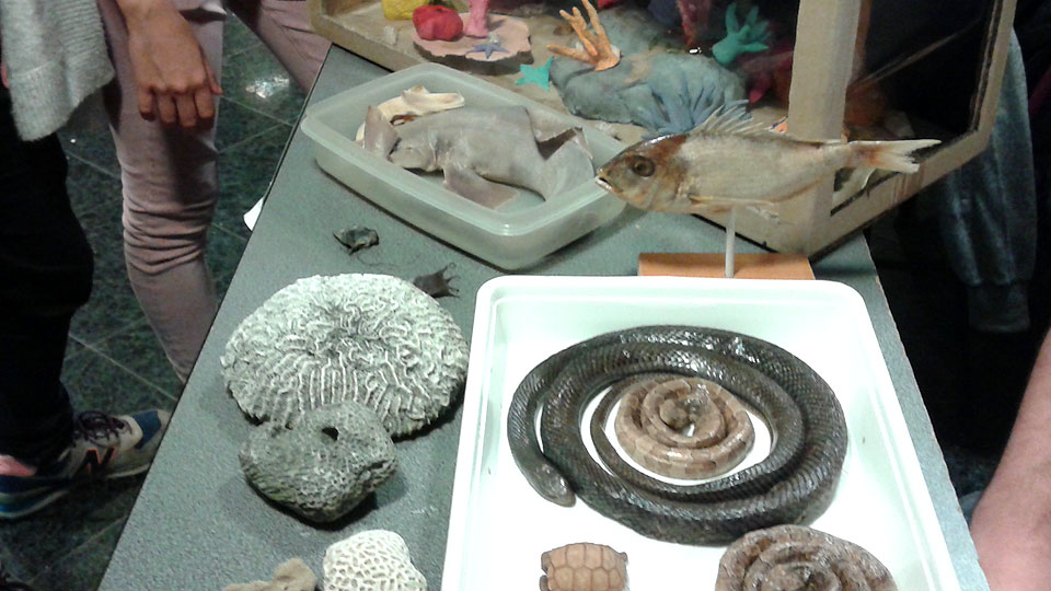 Feria de Productos Académicos UB 2018