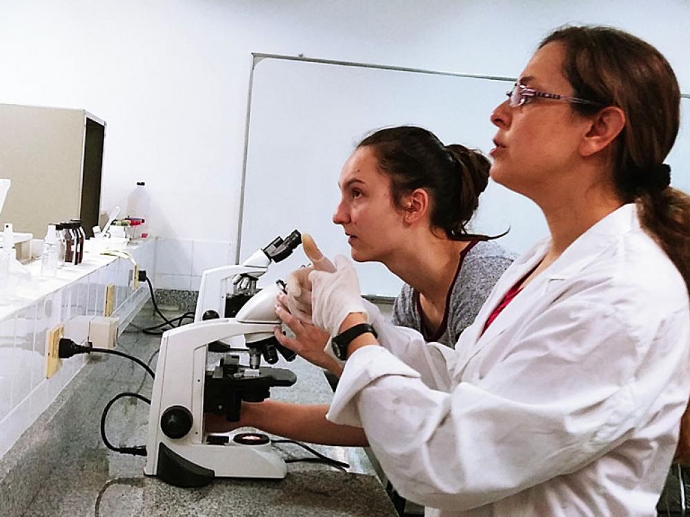 El colegio Tarbut visita la UB