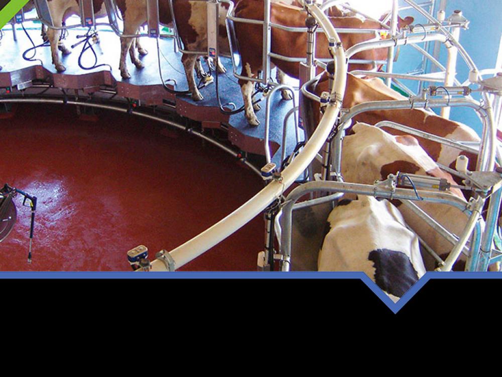 Competitividad global del sistema lácteo