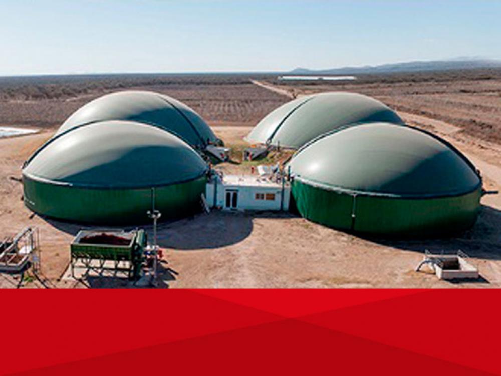 La producción de biogás y biofertilizantes a partir de desechos agrícolas es una oportunidad para pymes agropecuarias