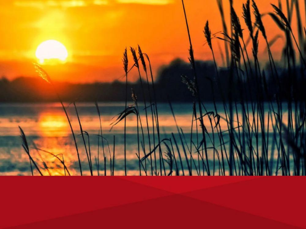 Curso Introductorio a la Biosíntesis y al Abordaje Psicocorporal