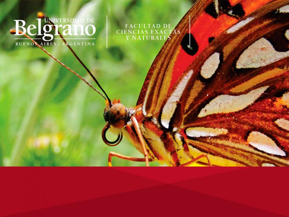 Concurso Fotográfico de Naturaleza Urbana