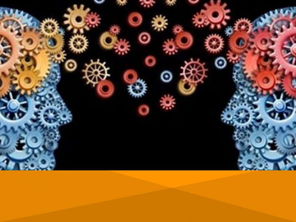 Ley de Economía del Conocimiento