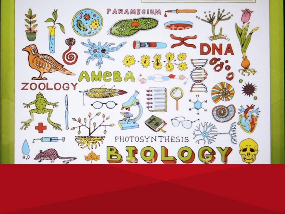 Biología Ciencias de la Vida como base para el desarrollo de la investigación en tiempos de pandemia y otras áreas