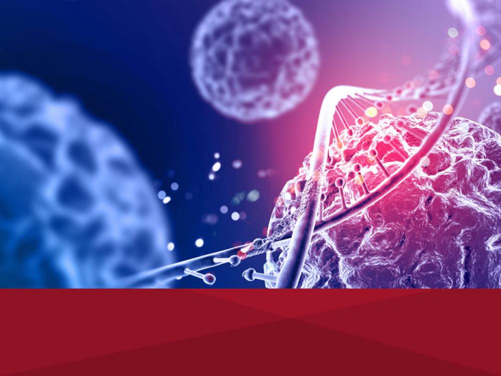 Importancia de evaluar la fragmentación del ADN de los gametos en técnicas de reproducción asistida humana