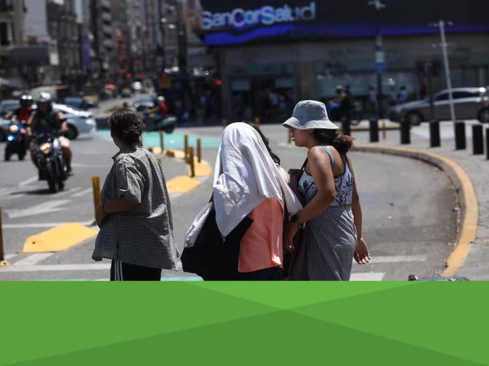 Islas de calor. Qué árboles nativos se pueden plantar en la Ciudad para mitigar el cambio climático