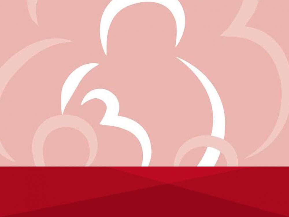 Primeras Jornadas Transdisciplinarias de Lactancia Materna