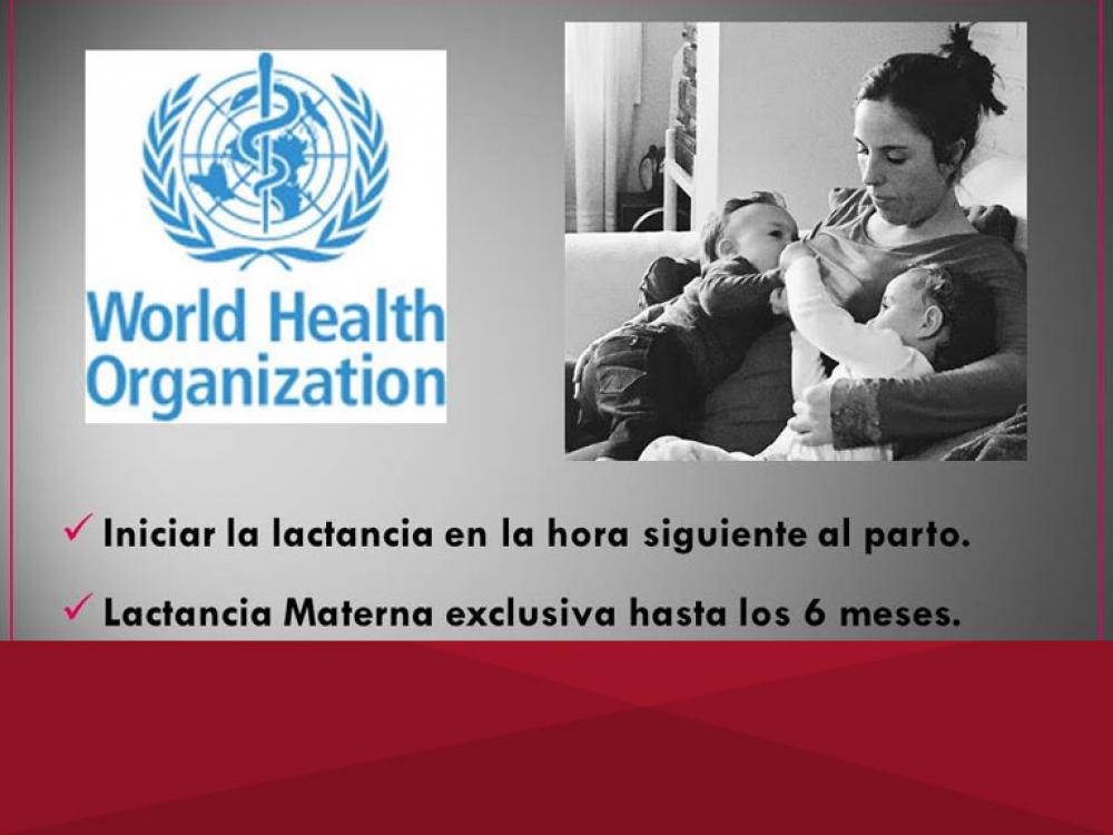 Lactancia Materna: de la Fisiología a la Acción