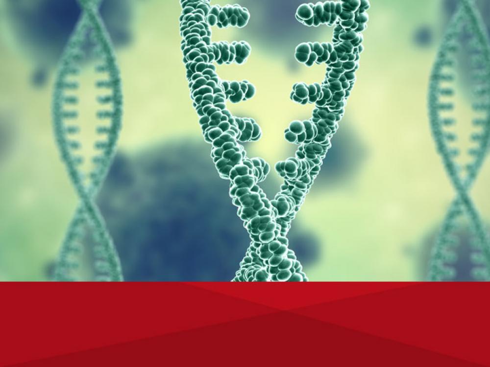 Diplomatura en Management Estratégico de Productos de Alto Costo en la Industria Farmacéutica