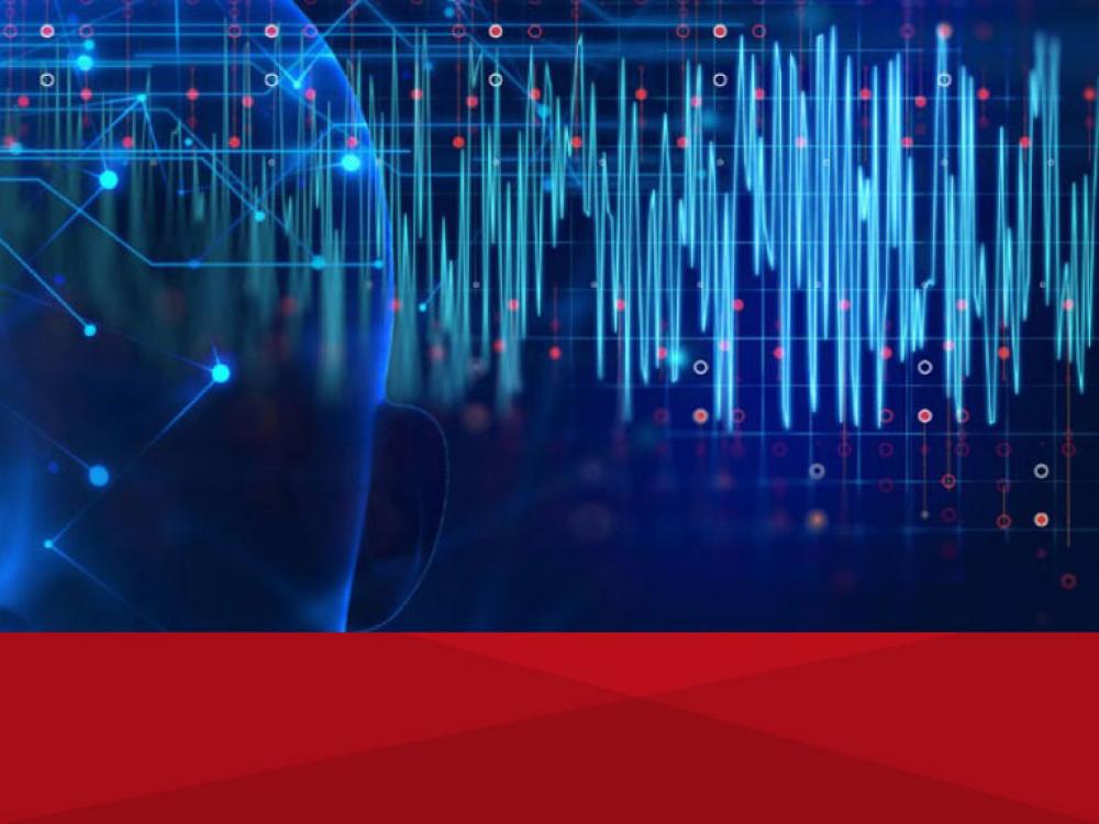 Programa Ejecutivo en Neuroliderazgo y Culturas Brian Friendly