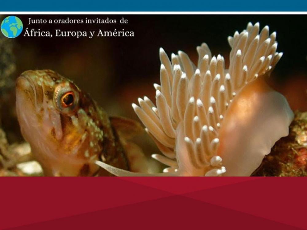 Día Mundial de la Pesca