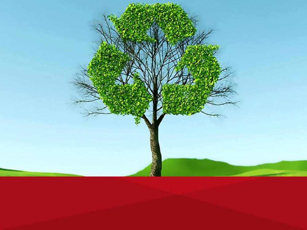 XIV Encuentro Internacional de Investigadores Red Latinoamericana de Cooperación Universitaria