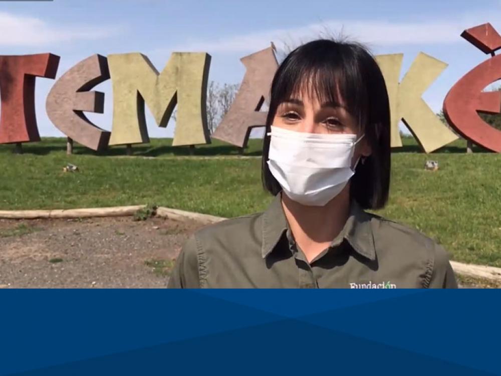 “SAFE TRAVEL” Reconocimiento recibido por el Bioparque Temaiken otorgado por World Travel & Tourism Council