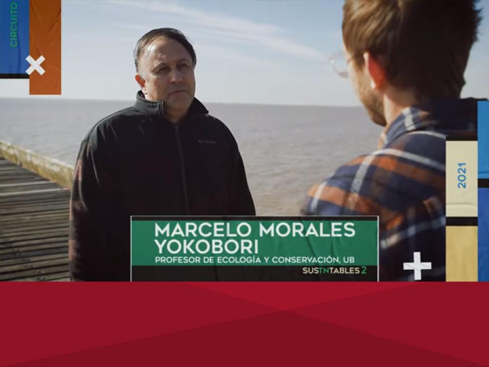 Contaminación por Microplásticos en la Fauna Ictícola del Delta del Paraná