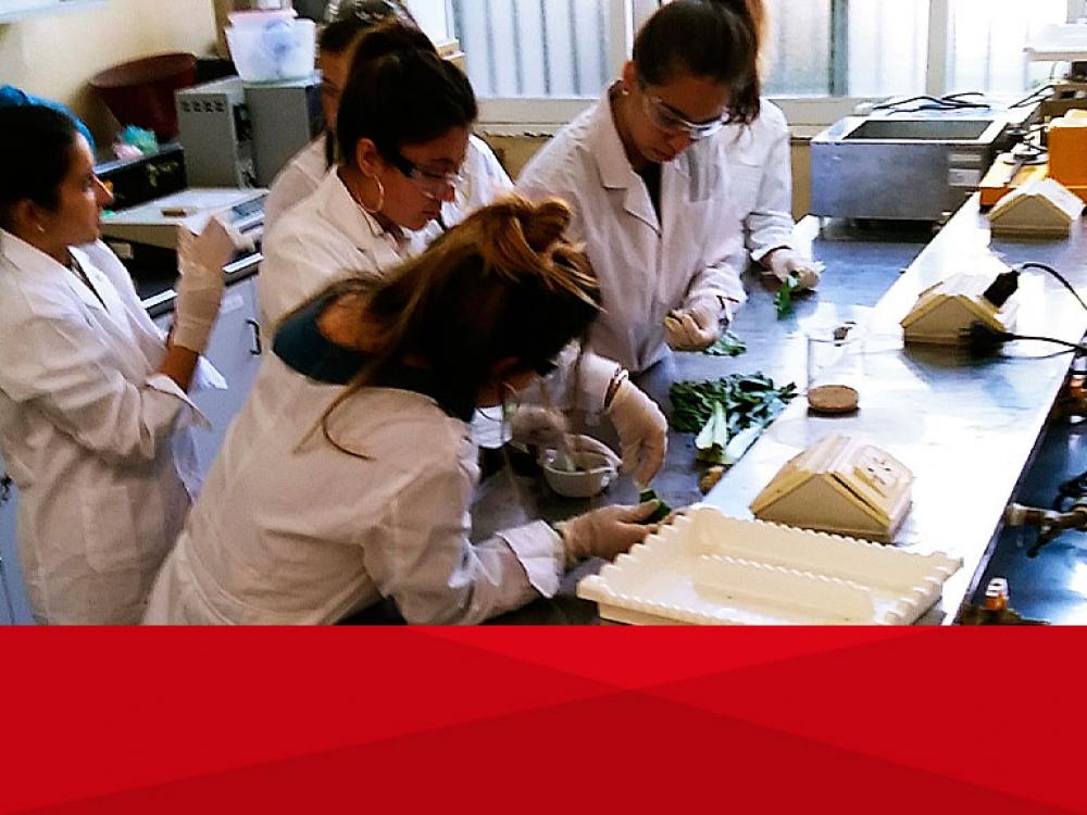 El Colegio Argentina School visita la UB