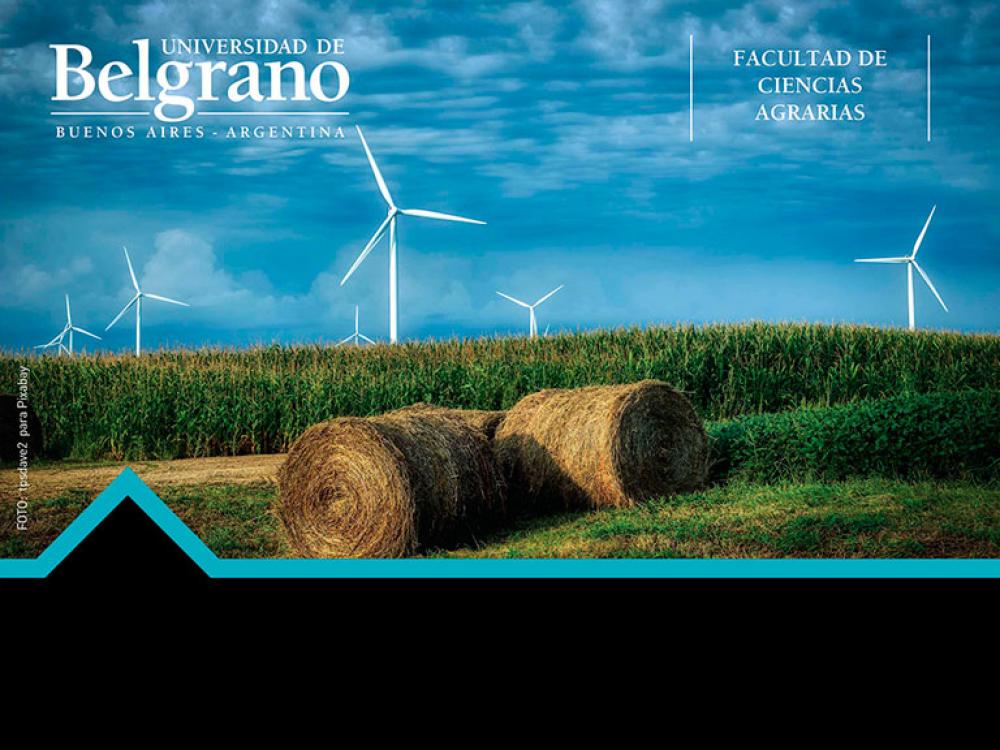 ¿La Bioenergía Transforma la Agroindustria?