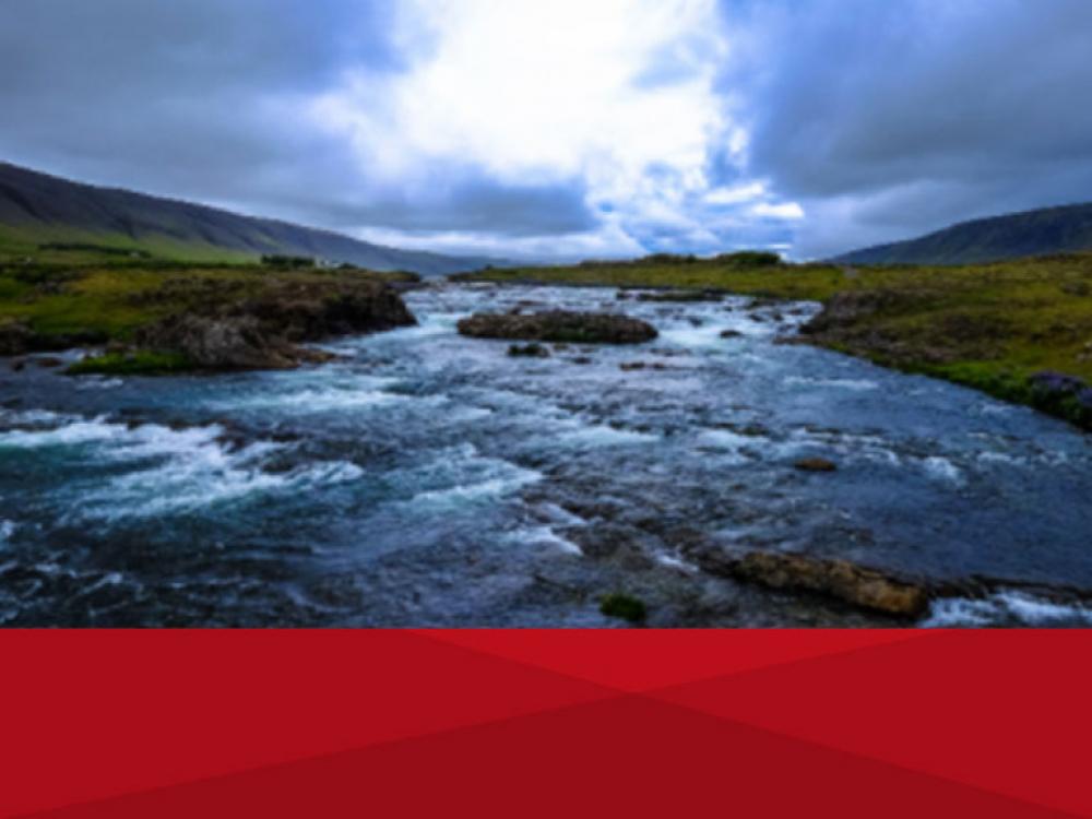 Diplomatura en agilidad y aprendizaje de idiomas en edad adulta