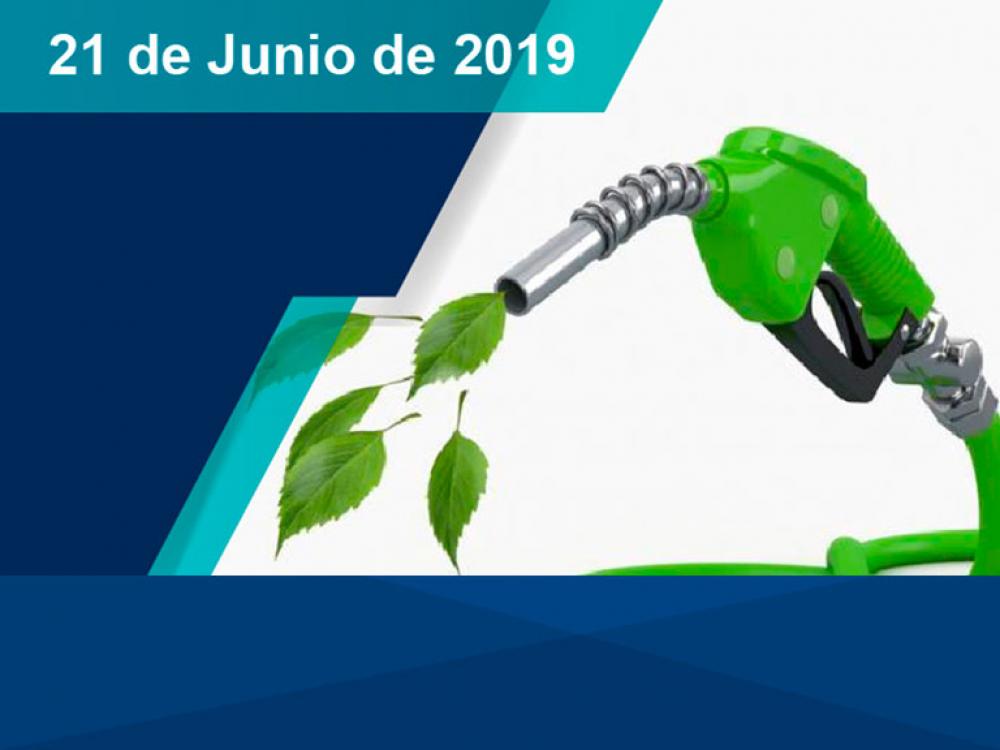 Curso de Posgrado en Energías Renovables y Biocombustibles